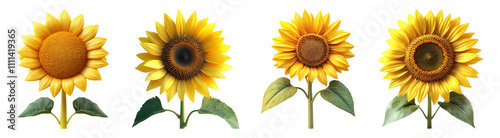 Vibrant Sunflower Collection with Transparent Background