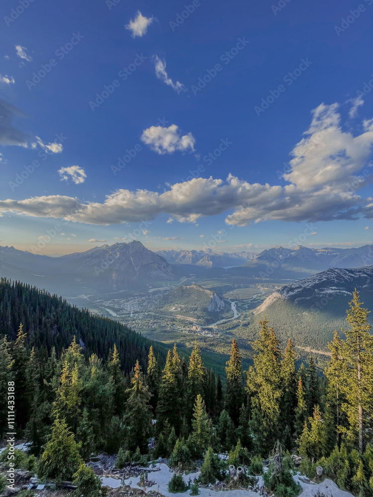 Fototapeta premium Majestic Mountain Valley with Lush Forests and a Clear Blue Sky