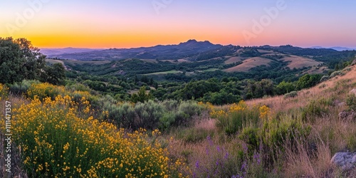 A panoramic view of a mountain landscape with rolling hills, vibrant summer vegetation, and the sky painted in radiant sunrise colors. 