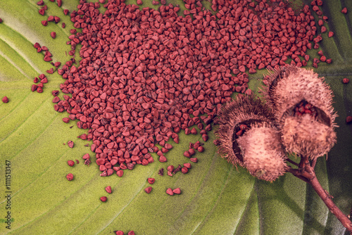 Red annatto seeds powder - Bixa orellana photo