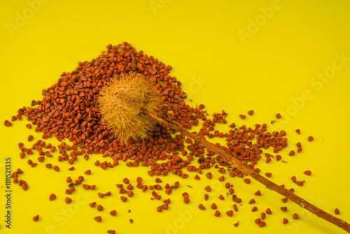 Organic Annatto Seeds - Bixa orellana photo