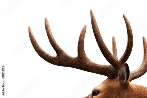 deer antlers realistic detailed isolated on white background symmetrical brown textured photo