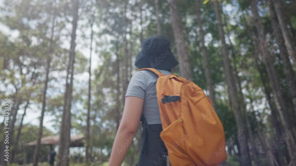 A woman is walking in a forest with a backpack on her back. The backpack is orange and he is quite large. The woman is wearing a black hat and a gray shirt. The scene is peaceful and serene A woman is walking in a forest with a backpack on her back. The backpack is orange and he is quite large. The woman is wearing a black hat and a gray shirt. The scene is peaceful and serene