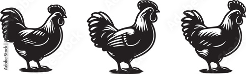 Chicken silhouette design with a white background 