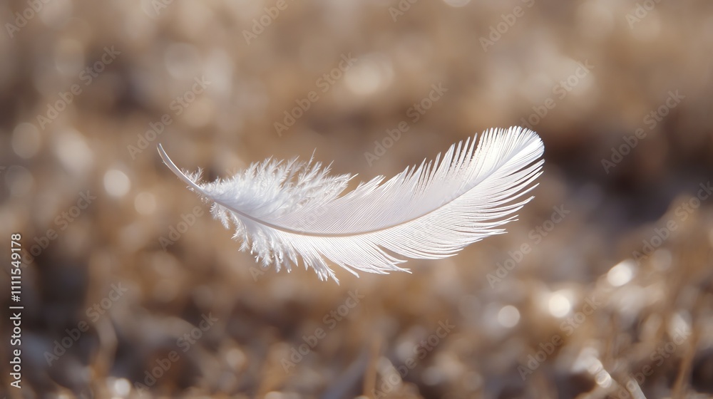 A single white feather floats in the air against a blurry background. A single white feather floats in the air against a blurry background.