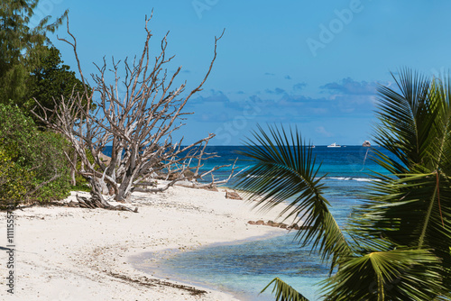 Idyllic Beach Scenery At Anse Gaulette photo