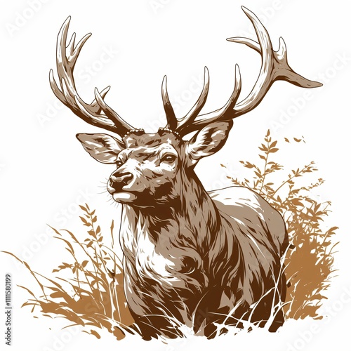 Deer face sketch illustration isolated on white background. Christmas deer. Portrait of beautiful wild animal, doe stag, reindeer. Hunting and travel. Linear engrave vintage style photo