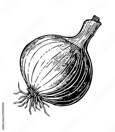 onion engraving black and white outline