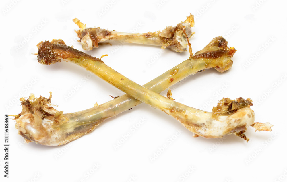 Three chicken bones are on a white background Three chicken bones are on a white background