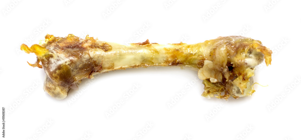 A bone is shown on a white background A bone is shown on a white background