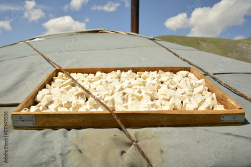 Mongolian dairy product Aaruul or Curd made from drained sour milk drying on the sun.