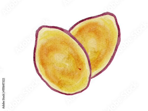 水彩で描いたスライスしたさつまいものベクターイラスト素材