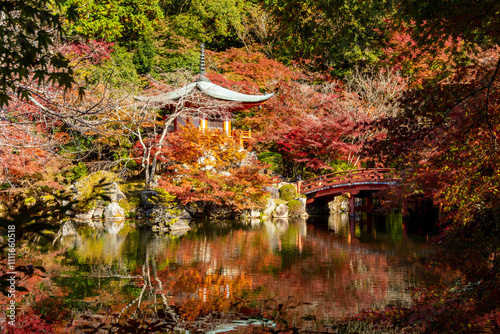 Daigo-ji Sambo-in Teien garden in autumn, Kyoto, Japan (translation 