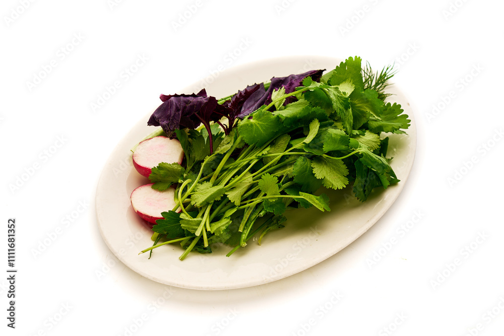 A white plate with a variety of vegetables including radishes, parsley A white plate with a variety of vegetables including radishes, parsley