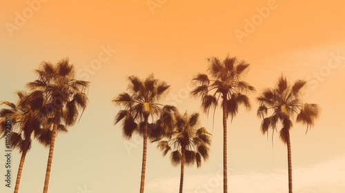 Serenity of Palm Trees Against an Orange Sky at Dusk Capturing the Essence of a Tranquil Tropical Paradise in a Warm Atmosphere