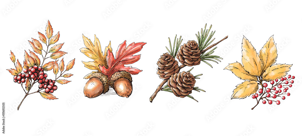 秋冬の植物コレクション 水彩画の素材セット 装飾用のイラスト