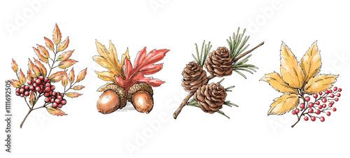Obraz na płótnie 秋冬の植物コレクション 水彩画の素材セット 装飾用のイラスト w salonie