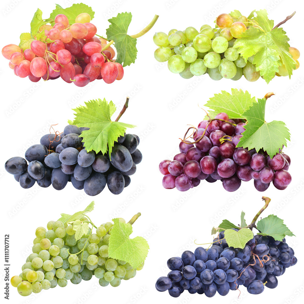 Bunch grape fruit isolated Bunch grape fruit isolated