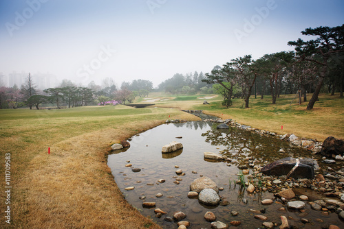 Foto 안개가 낀 이른 아침의 골프장의 물가.
