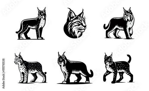 lynx silhouette logo icon black white design photo