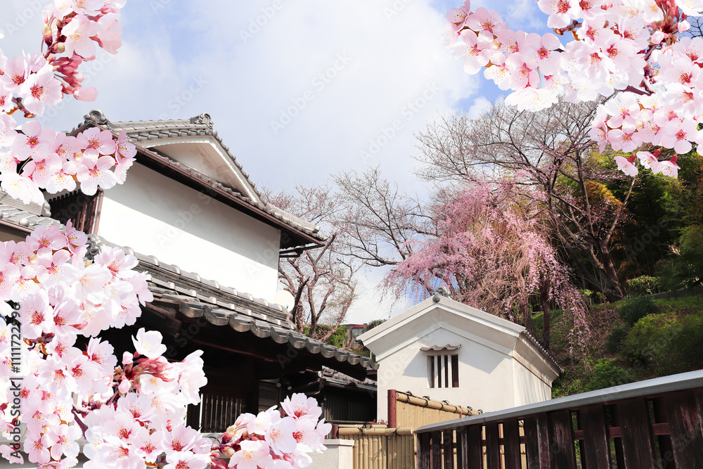 Φωτογραφία Old houses and sakura flowers, Kurashiki city, Japan