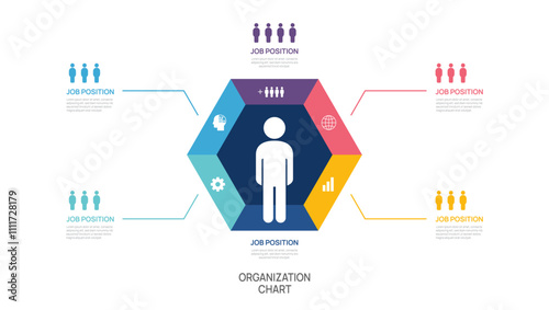 organization chart Infographic template for with business avatar icons vector.