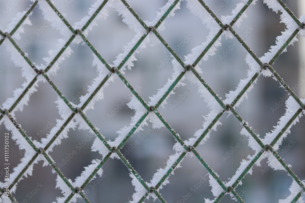 Fototapeta premium wire fence