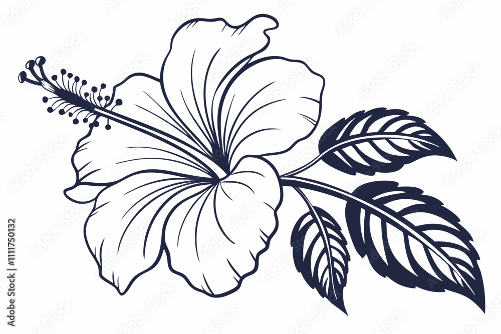 Hibiscus Flower Outline, Hibiscus Flower, Hibiscus flower vector illustration with line art, Hand drawn hibiscus flower, Line Art Hibiscus Flower Hibiscus Flower Outline, Hibiscus Flower, Hibiscus flower vector illustration with line art, Hand drawn hibiscus flower, Line Art Hibiscus Flower