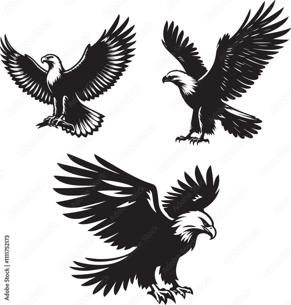 Fototapeta premium silhouette of clean vector of eagle isolated
