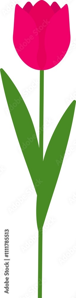 Illustration of Pink Tulips with Green Leaves Illustration of Pink Tulips with Green Leaves