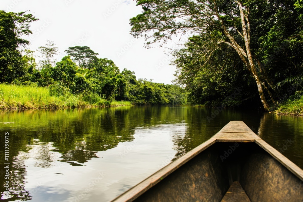 Serene Canoe Journey on a Tranquil River through Lush Greenery Serene Canoe Journey on a Tranquil River through Lush Greenery