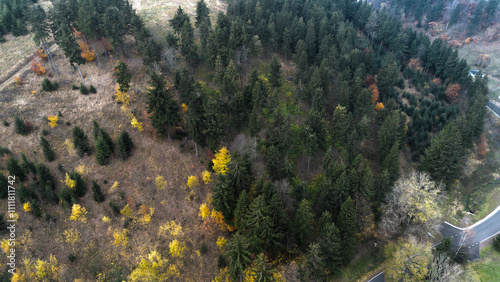 Autumn in the mountains, autumn mountains from above. Aerial landscape. Drone view. photo