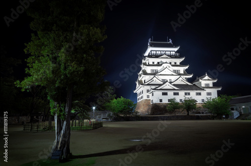 Fukuyama castle at night from the park