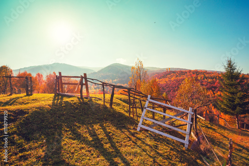 View of colorful mountain slopes on a sunny autumn day. Beautiful landscape. Carpathian Mountains, Carpathian Rus, Ukraine photo