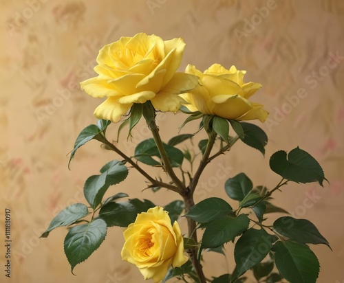 Riptortus clavatus on yellow Charleston rose with background , background flower, brown beetle photo