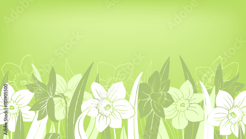 Spring horizontal banner with daffodils or narcissus on green background. Flowers arrangement or border on the bottom, monochrome color. Vector HD template with copy space for web design, advertising.