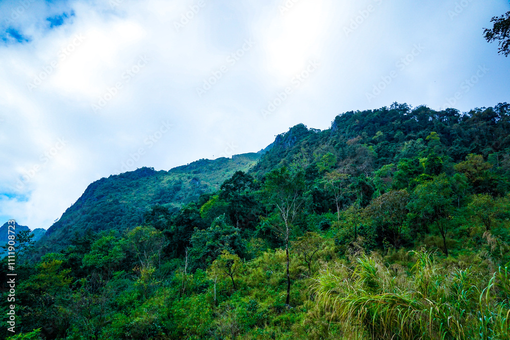 Nature scene lush green mountains tropical forest landscape photography daytime vibrant wilderness exploration Nature scene lush green mountains tropical forest landscape photography daytime vibrant wilderness exploration