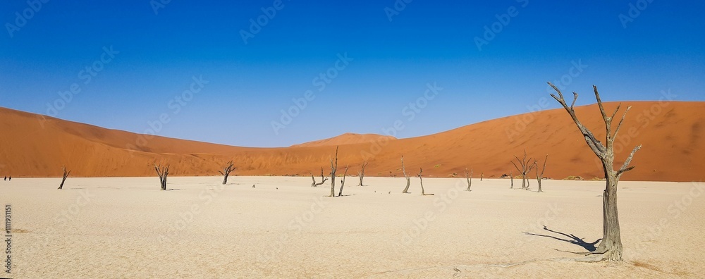 Panoramic view of Deadvlei with red dunes and blue sky. Panoramic view of Deadvlei with red dunes and blue sky.