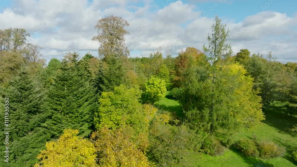 Beautiful aerial establishing view of Sventaja river valley on a sunny autumn day, yellow, autumn leaves, calm idyllic landscape, Latvia nature, wide angle ascending drone shot moving forward Beautiful aerial establishing view of Sventaja river valley on a sunny autumn day, yellow, autumn leaves, calm idyllic landscape, Latvia nature, wide angle ascending drone shot moving forward