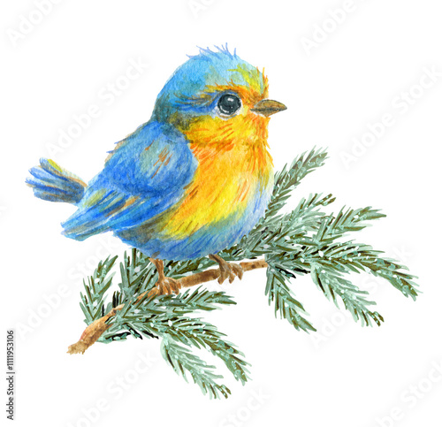Bird sits on snowy spruce branch. Christmas winter card. Watercolor painting.