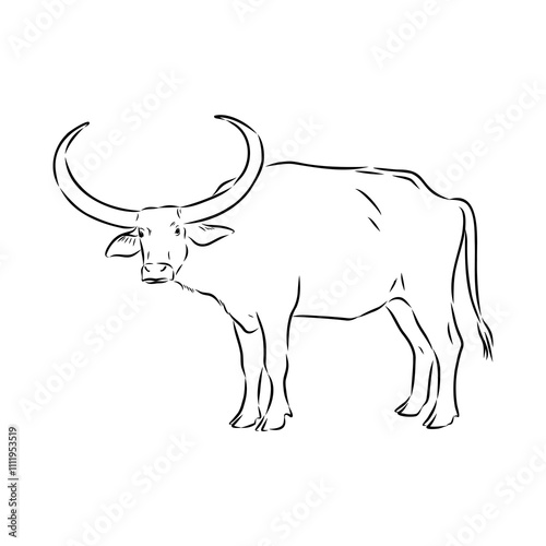 Bull in doodle style. Icons sketch hand made. Vector editable stroke.