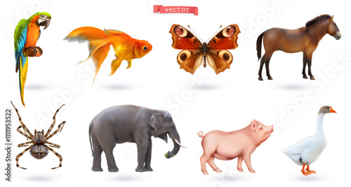 Canvas Print Animals realistic vector set