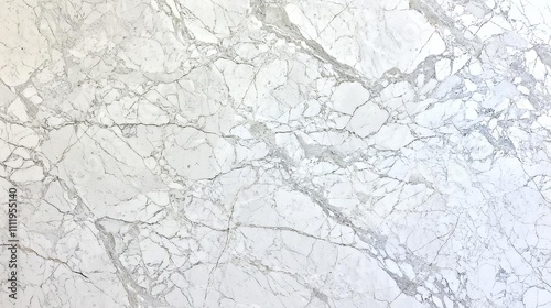 Elegant white marble texture with gray veins.