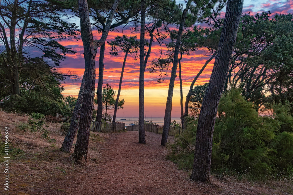 Fototapeta premium Plage des Dames, île de Noirmoutier