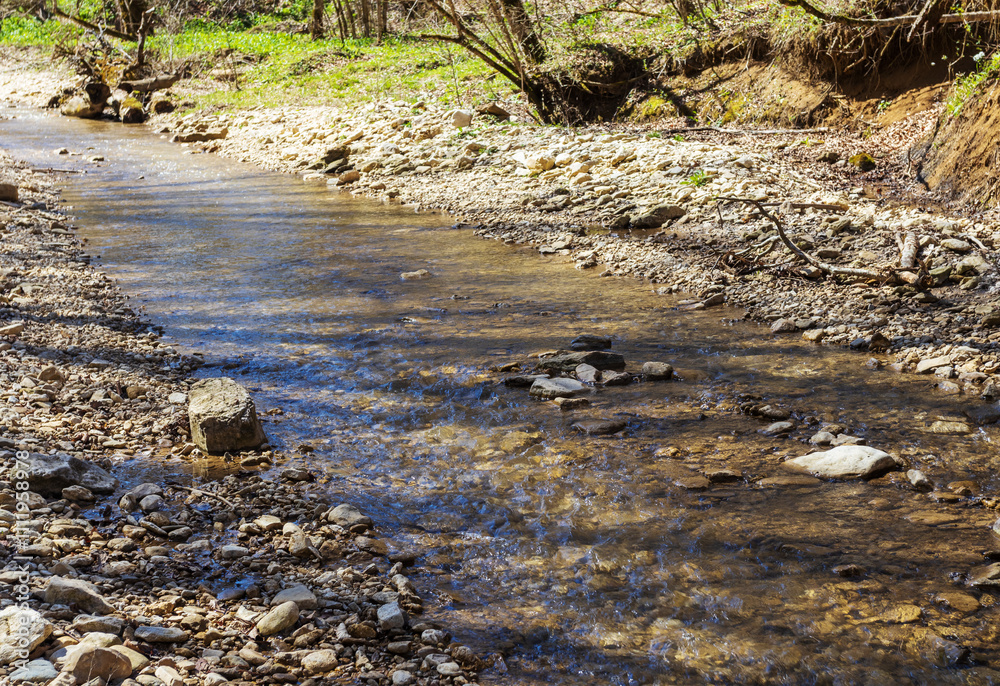 the river in the spring of the year, a slow flow along a shallow riverbed the river in the spring of the year, a slow flow along a shallow riverbed