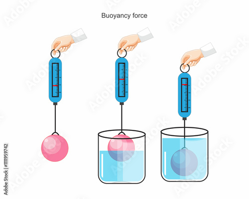  Archimedes buoyancy principle, law of physics. Buoyant force, gravity, weight of the object, the density of fluid and object. Measurement of density. Container with fluid and object.