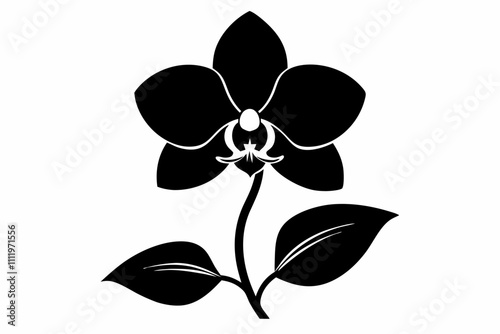 A simple Evening Orchid silhouette black vector white background