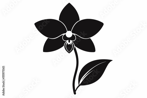 A simple Evening Orchid silhouette black vector white background