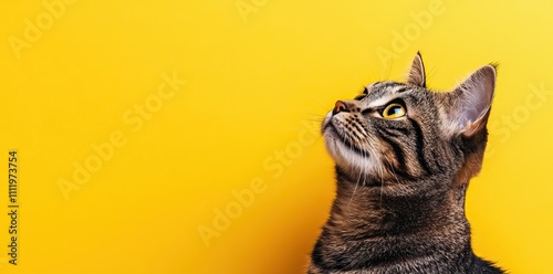 A striped cat gazing upward against a yellow background. AI generated image