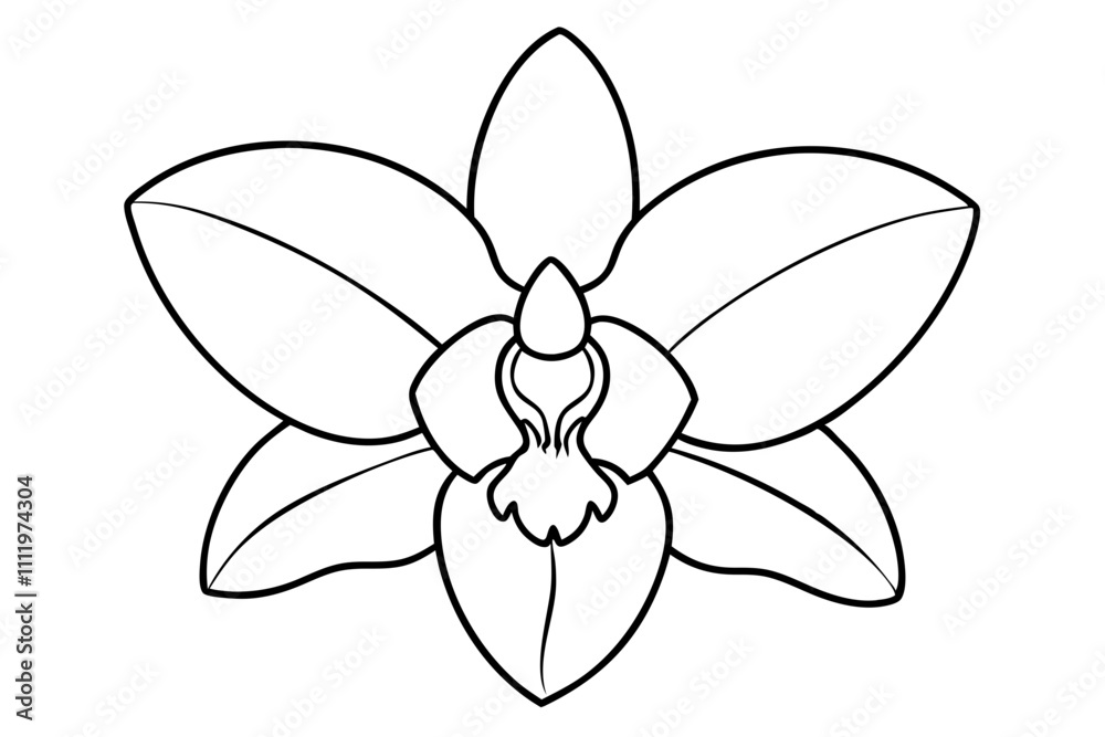 A simple Evening Orchid line art vector white background A simple Evening Orchid line art vector white background